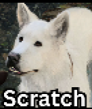 Scratch