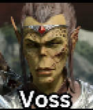 Voss