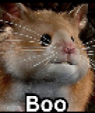 Boo
